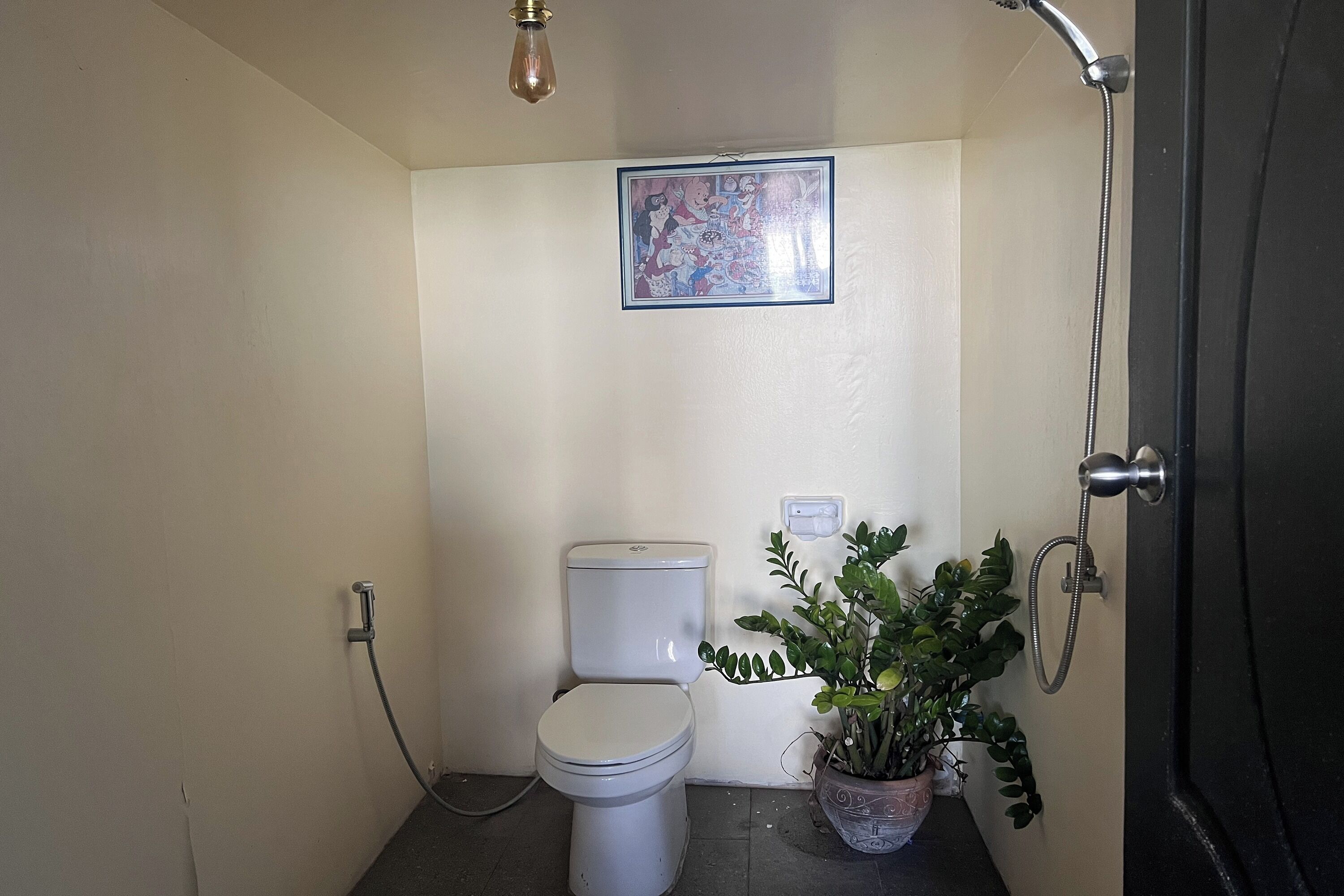 Un baño pequeño con inodoro, ducha y una planta en maceta.