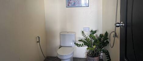 Un baño pequeño con inodoro, ducha y una planta en maceta.