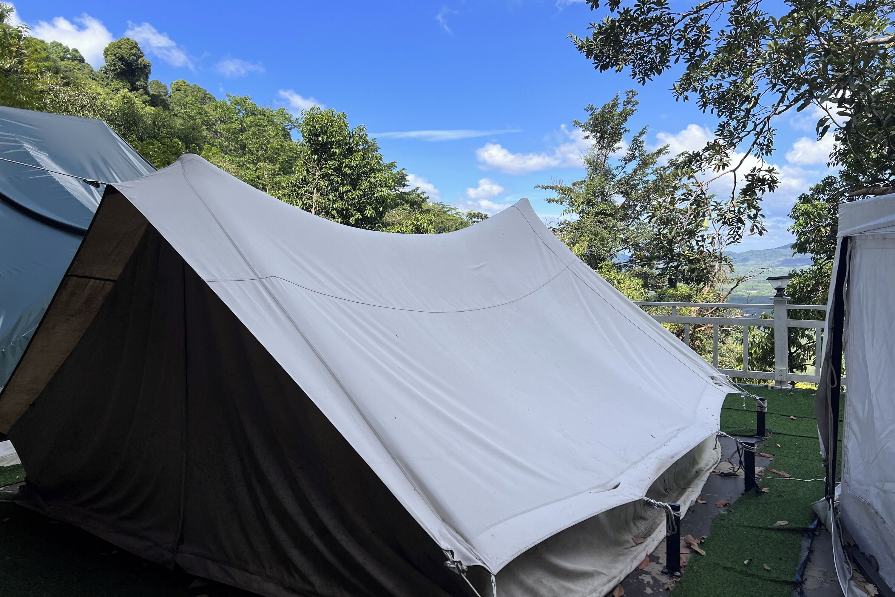 Una tenda muntada en un jardí amb una tanca de fusta i arbres al fons.
