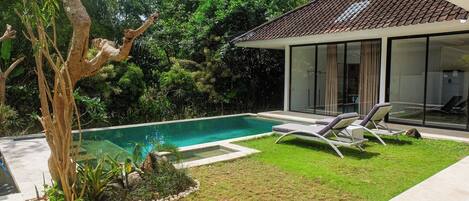 A modern house with a swimming pool, a grassy lawn, and a tree.
