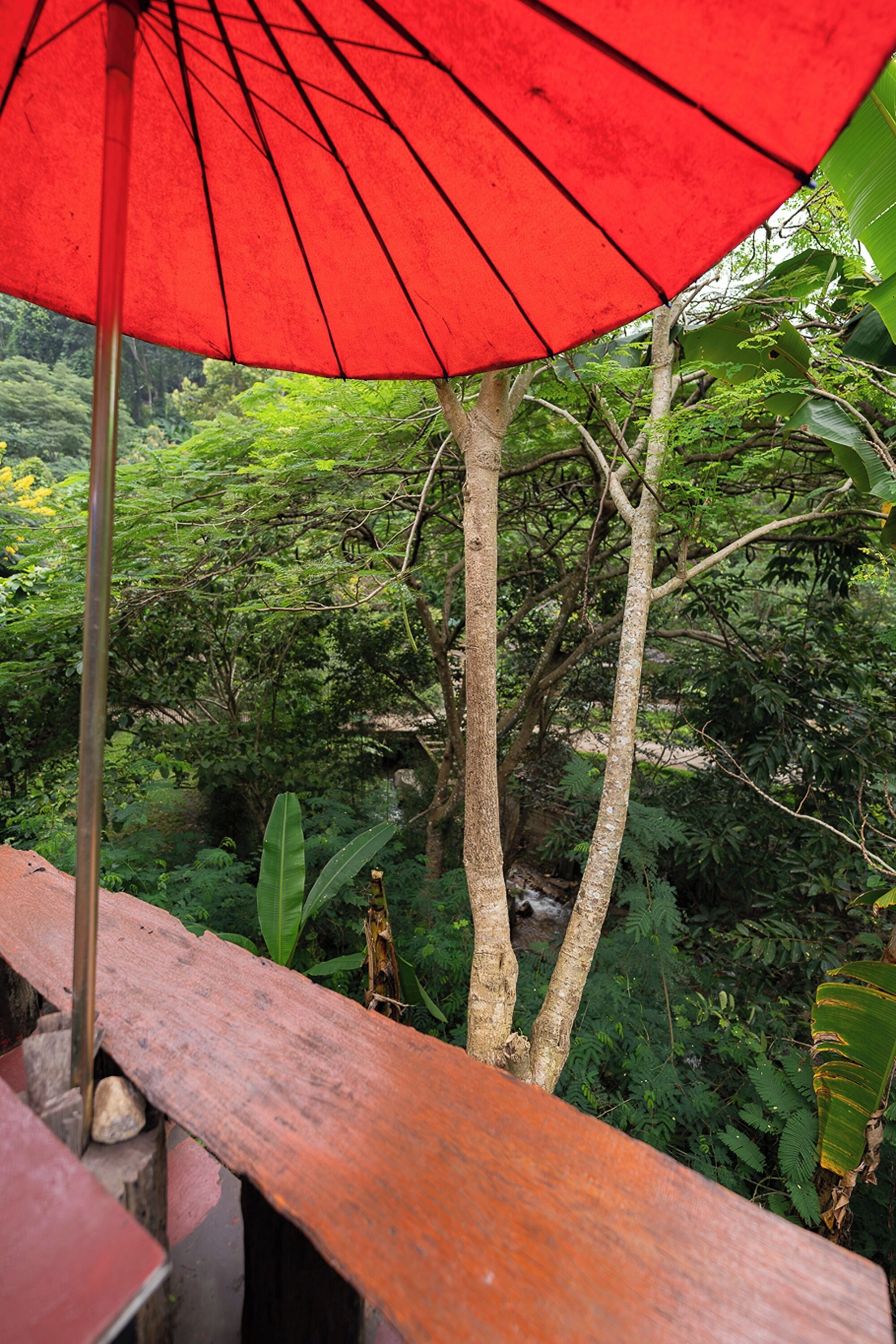 A red umbrella, a wooden railing, and lush green foliage in the background.