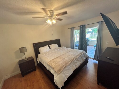 Roseau Blanc Of Port Saint Lucie