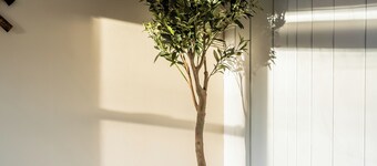 Downtown rambler. 2 bed, 1 bath, office & fence.