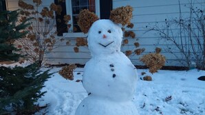 Un muñeco de nieve con nariz de zanahoria y ojos de carbón, rodeado de flores secas y nieve, frente a una casa con porche y ventana.