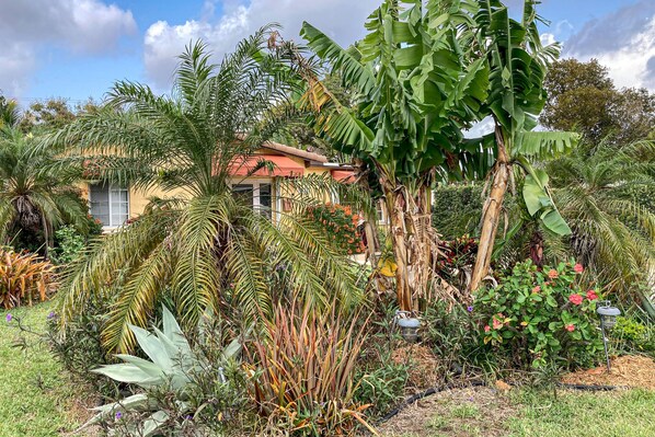 Jardines del alojamiento