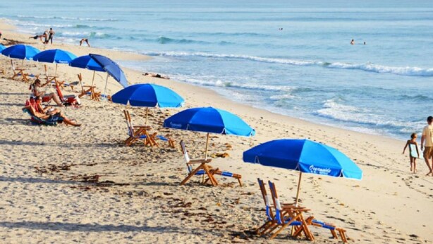 A beach with rows of blue umbrellas and beach chairs.