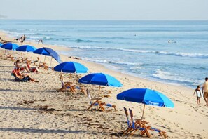 A beach with rows of blue umbrellas and beach chairs.