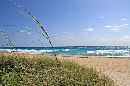 Coastal Key Suite - Casa Costa 406N, Pools, Jacuzzi, Beach & Dog Friendly