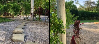 Pavones Studio In Between 2 Top Surf Spots, 100mb