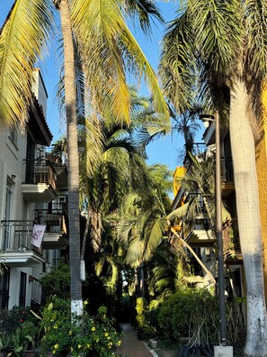 Property grounds - Cozy Apartment Near the Beach (Mazatlán)