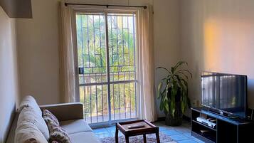 Smart TV, video games, books