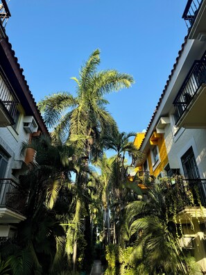 Property grounds - Cozy Apartment Near the Beach (Mazatlán)