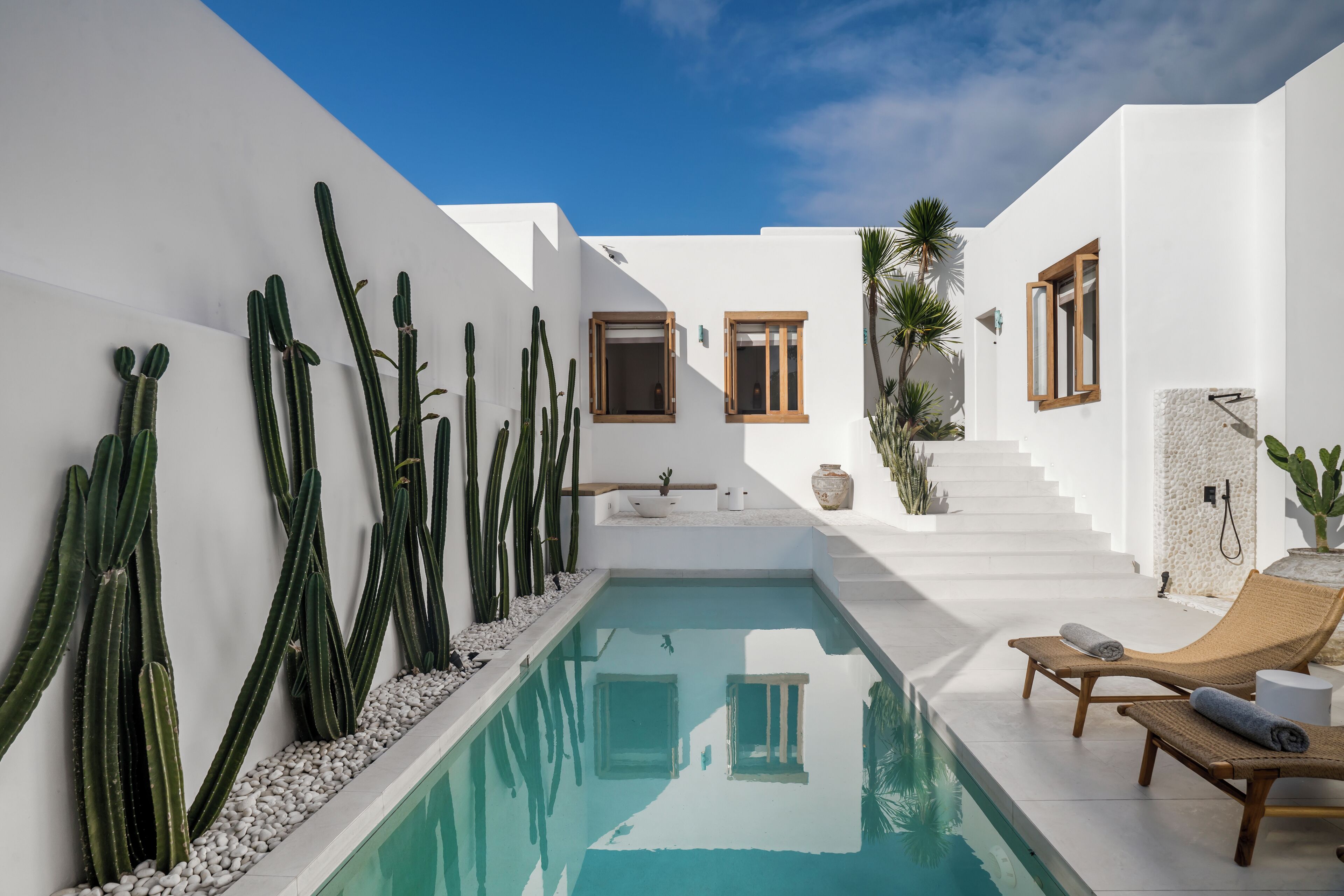 Un espace piscine moderne avec des murs blancs, des cactus et des chaises longues.