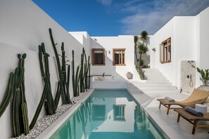 A modern pool area with white walls, cacti, and lounge chairs.