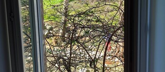 Sur les Rochers du Lac🌲🌿appartement 2 Chambres vue sur la Rivière🏞