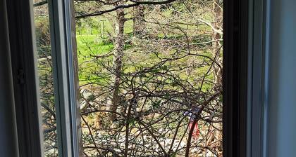 Sur les Rochers du Lac🌲🌿appartement 2 Chambres vue sur la Rivière🏞