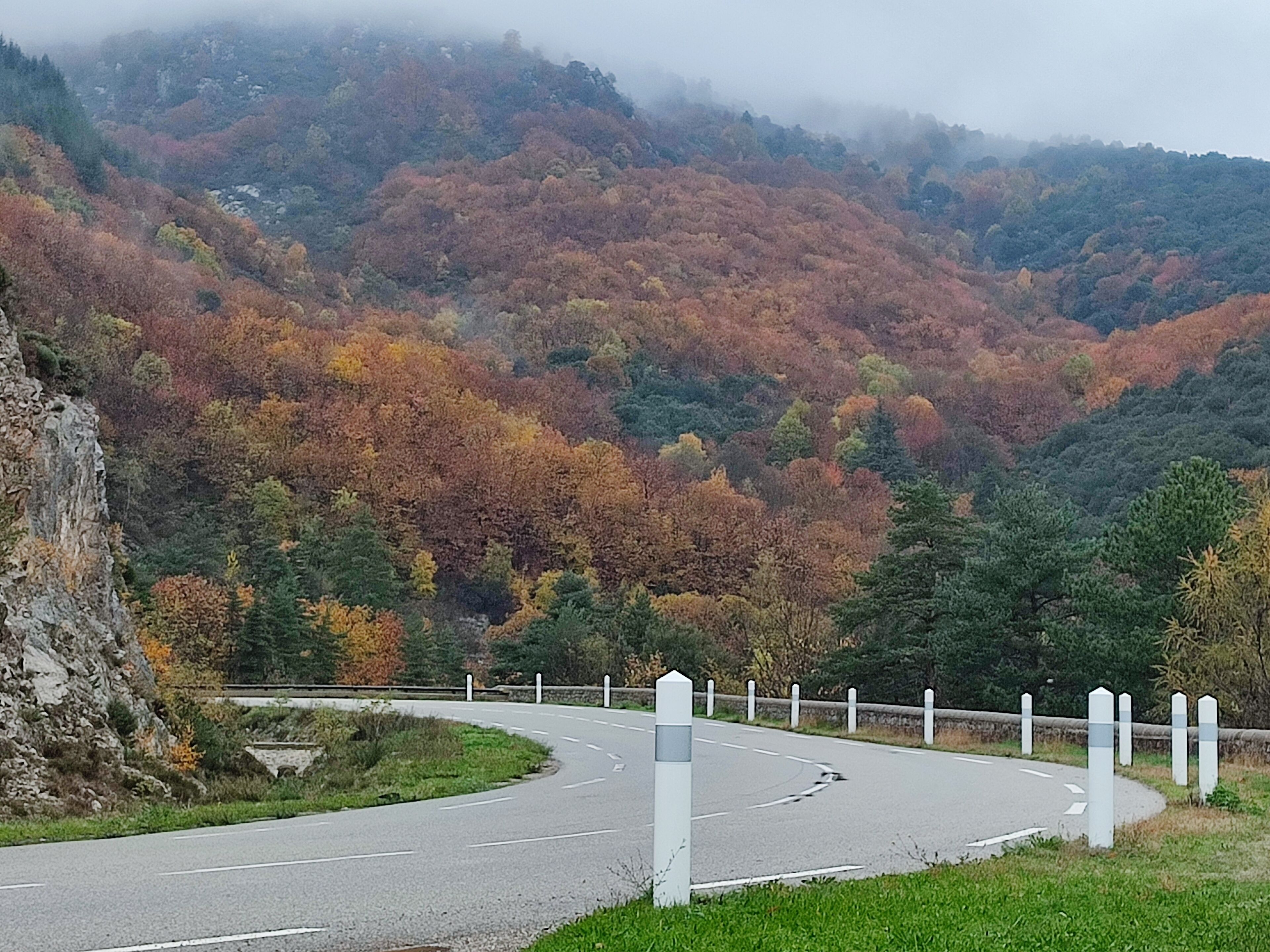 Una carretera sinuosa con barandillas blancas, rodeada de árboles con colores otoñales y un telón de fondo montañoso.