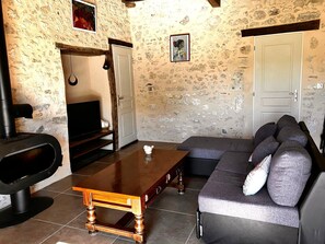 Télévision à écran plat, cheminée, livres