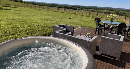 Secluded Périgourdine, nestled in the vineyards with a spa and a view