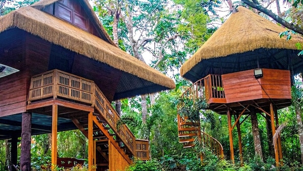 Two wooden treehouses with thatched roofs, surrounded by lush greenery. - Diwata Nature Resort (San Pablo)
