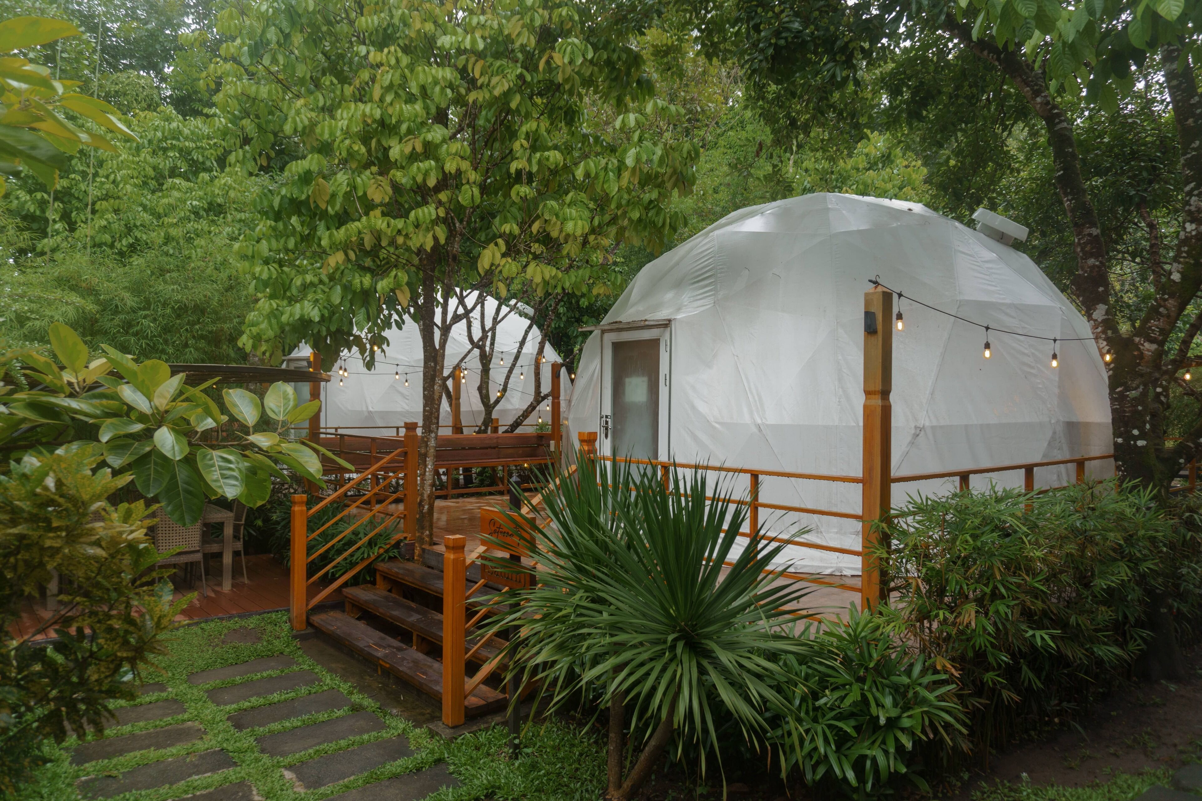 A dome-shaped tent with a wooden staircase leading to a door, surrounded by lush greenery and a small wooden deck.