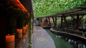 A pathway with a wooden bridge, surrounded by lush greenery and a water feature. - Diwata Nature Resort (San Pablo)