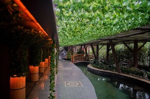 Un sendero con un puente de madera, rodeado de exuberante vegetación y un elemento acuático.