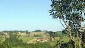 Een landelijk landschap met huizen en begroeiing.