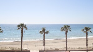 Una playa con palmeras y una vista despejada del océano.