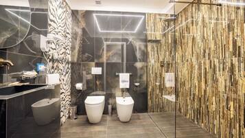 Ducha, secador de pelo, bidé y toallas