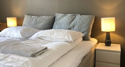 Huset ved springvandet