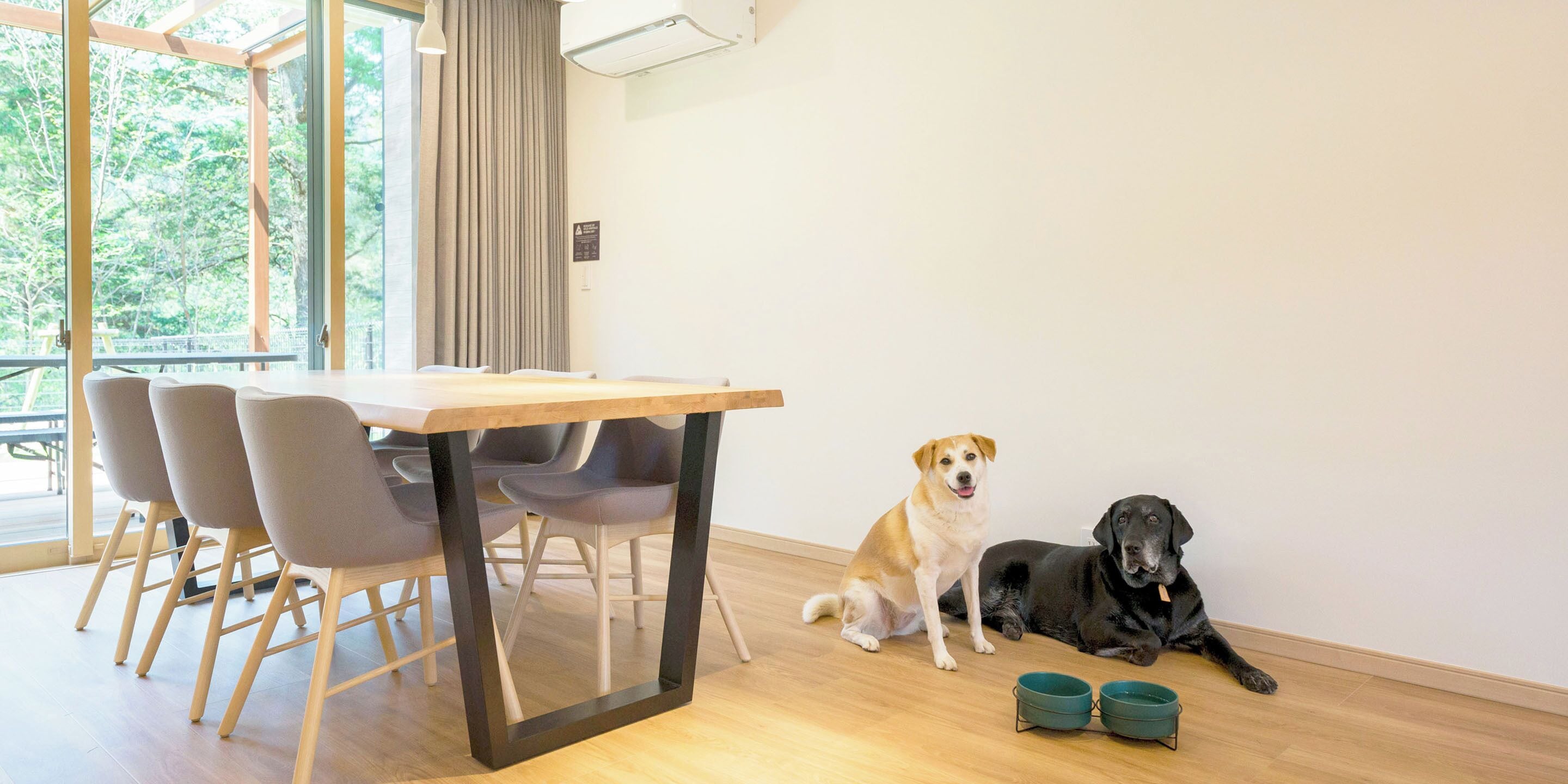 Un comedor con una mesa, sillas, dos perros y dos cuencos en el suelo.