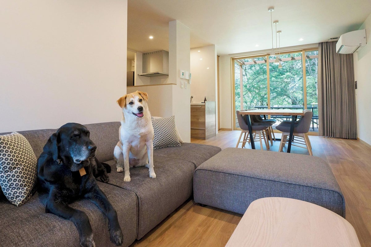 A modern living room with a grey sectional sofa, a black dog, and a white dog sitting on it.