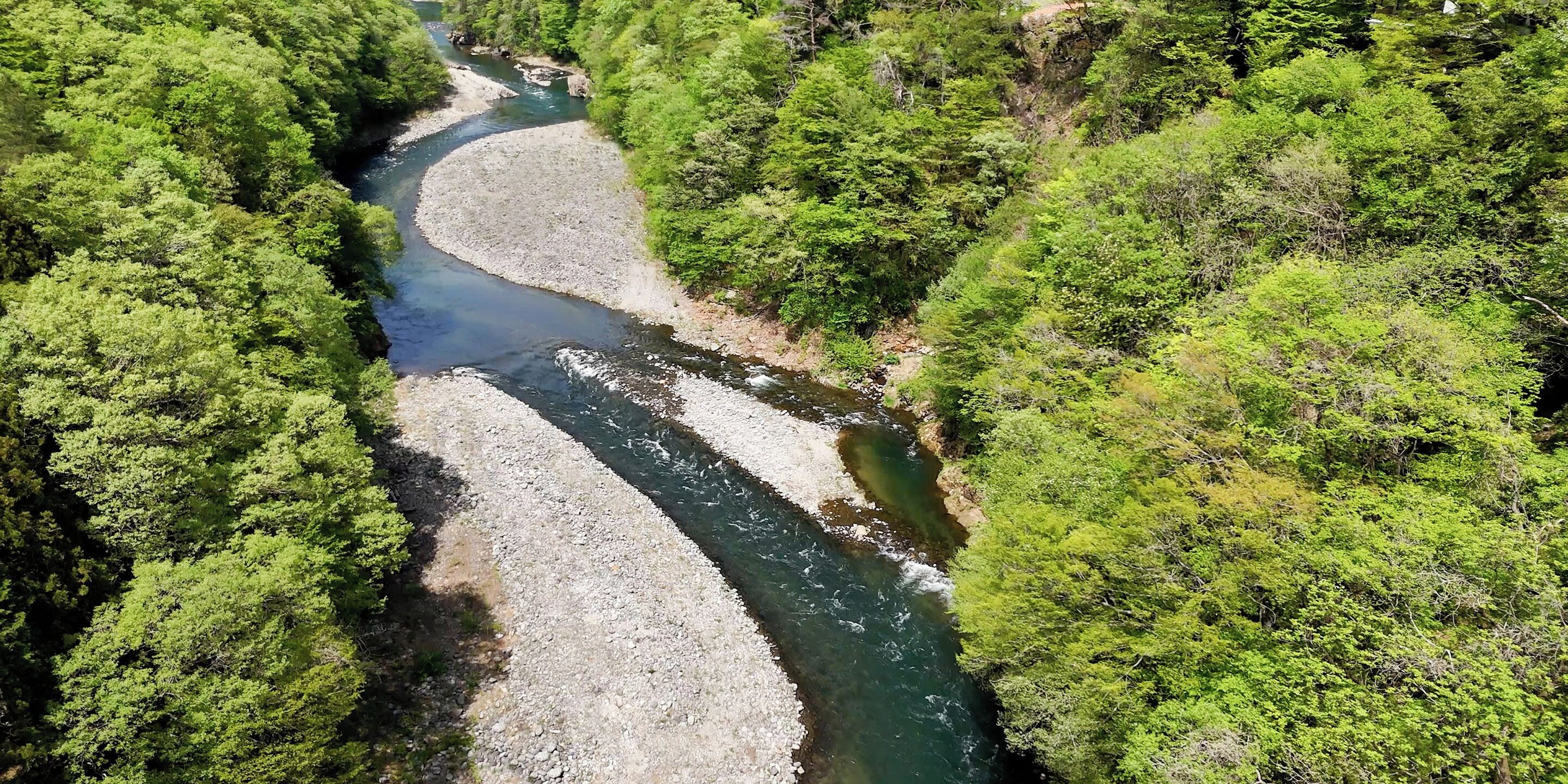 Une rivière qui serpente à travers une zone densément boisée.