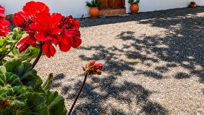 A white building with a wooden door and windows, surrounded by gravel and potted plants. - Oniropagida - Dream Catcher - House On Way To Sougia (Platanias)