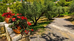 House, 1 Bedroom, Garden View | Property grounds - Oniropagida - Dream Catcher - House On Way To Sougia (Platanias)