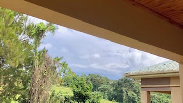 標準客房, 1 張單人床, 花園景, 行政樓層 | 客房景觀