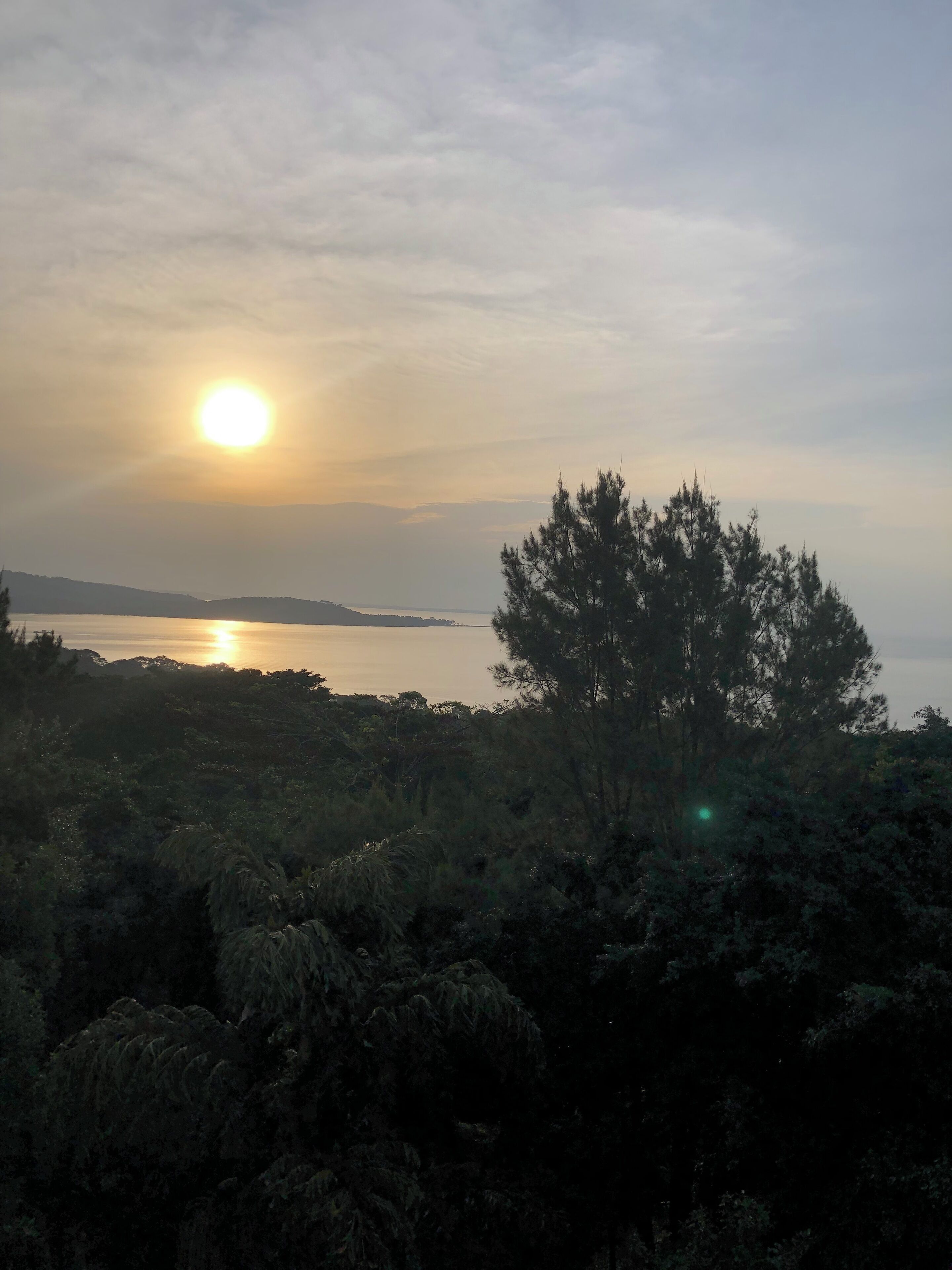 Un coucher de soleil sur une étendue d’eau, avec un arbre au premier plan.