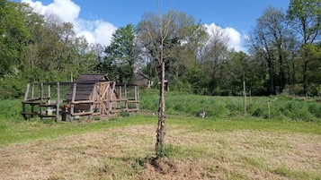 Terrein van de accommodatie