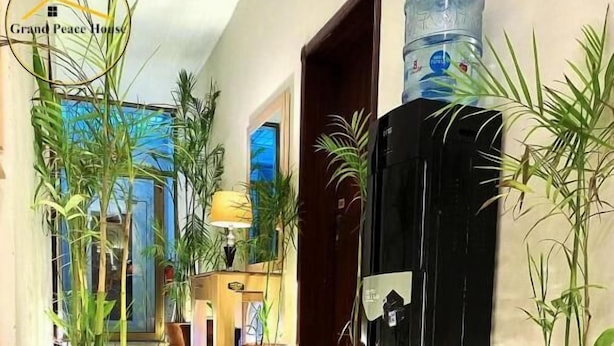 Un pasillo con plantas en macetas, un dispensador de agua y una zona de recepción.