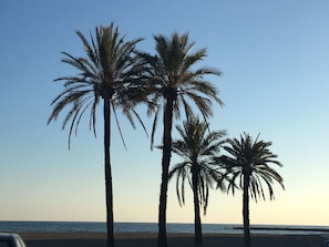 Sun-loungers, beach towels