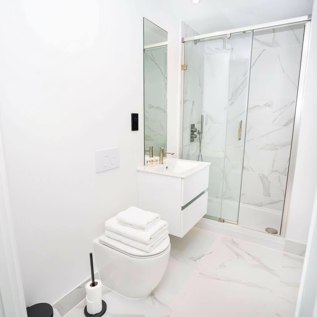 Shower, hair dryer, towels