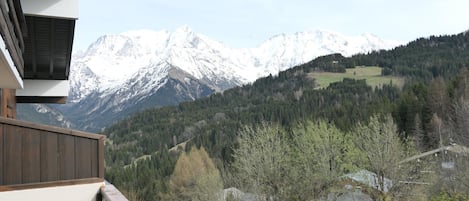 Bergzicht vanaf een balkon, met besneeuwde toppen op de achtergrond.