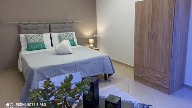 A bedroom with a bed, a nightstand, a wardrobe, and a potted plant.