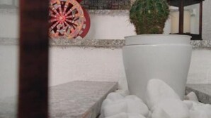 A potted plant in a white pot on a stone ledge with white pebbles.