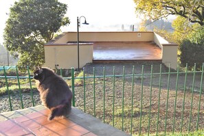 Property grounds - Cozy apartment in farmhouse 20 minutes from the center of Florence (località Cercina)