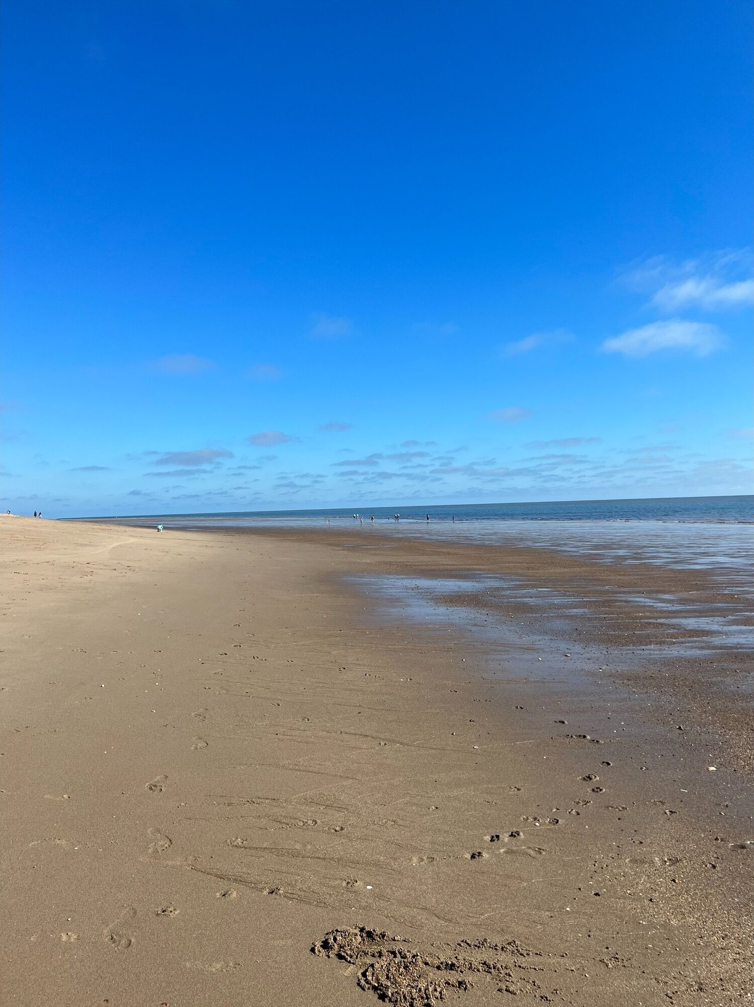 Cute chalet, close to stunning sandy beach.  Well-behaved dogs welcome. 
