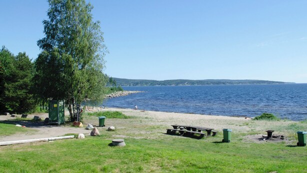 A lakeside campsite with picnic tables, a trash bin, and a green utility box.