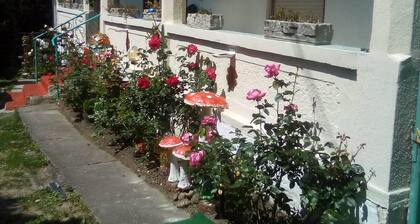 Old locomotive steampunk house on the mountains...