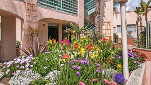 Ein Innenhof mit verschiedenen Blumen, einer Palme und einem Gebäude mit Balkon.